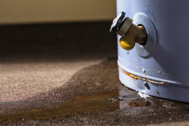 Best Local water damage restoration  in Tampa, FL