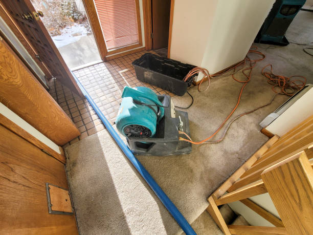  Tampa, FL Water damage restoration Pros