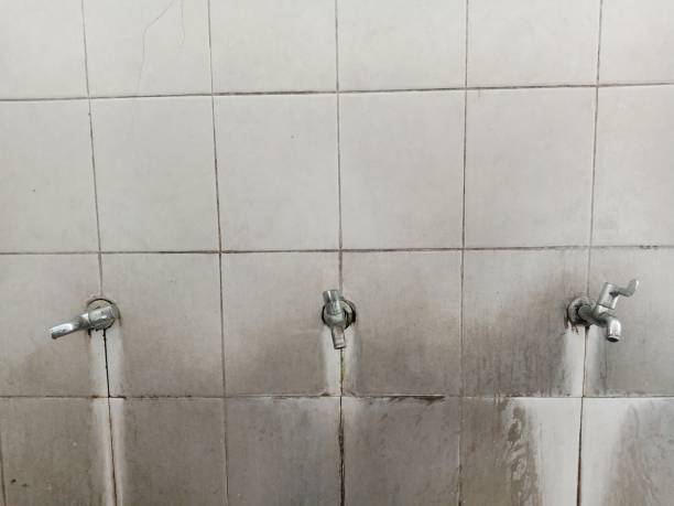 Best Residential water damage restoration  in Tampa, FL
