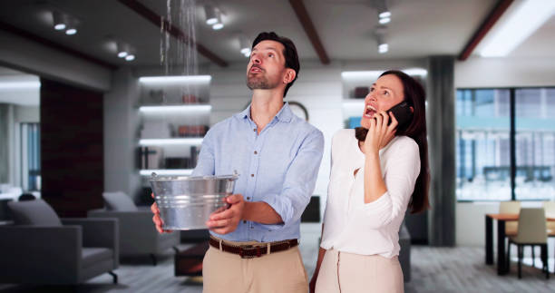Best Ceiling water damage repair  in Tampa, FL